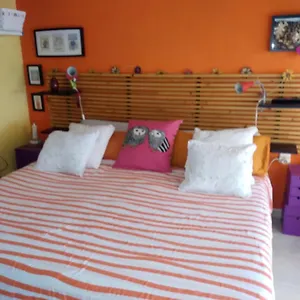  Apartamento Coqueto Atico Frente Al Mar